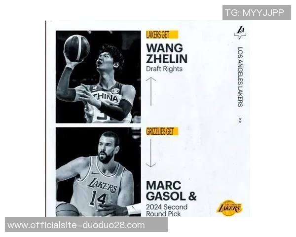 今日湖人对决魔术精彩直播全程回顾与赛后分析